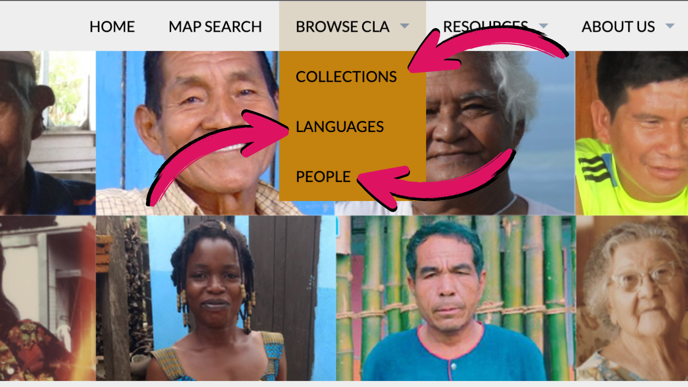 Dropdown menu of Browse CLA option on top right menu, with pink arrows pointing to submenu options Collections, Languages, People