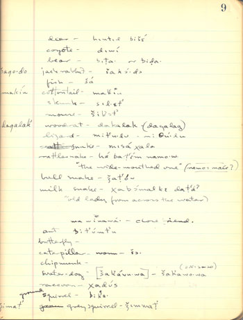A page from Abraham Halpern's field notebook