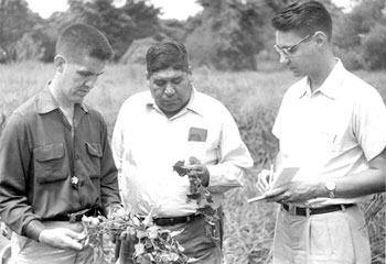 Wallace Chafe, ethnobotanical fieldwork, 1957